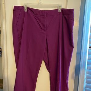 Bright purple capris